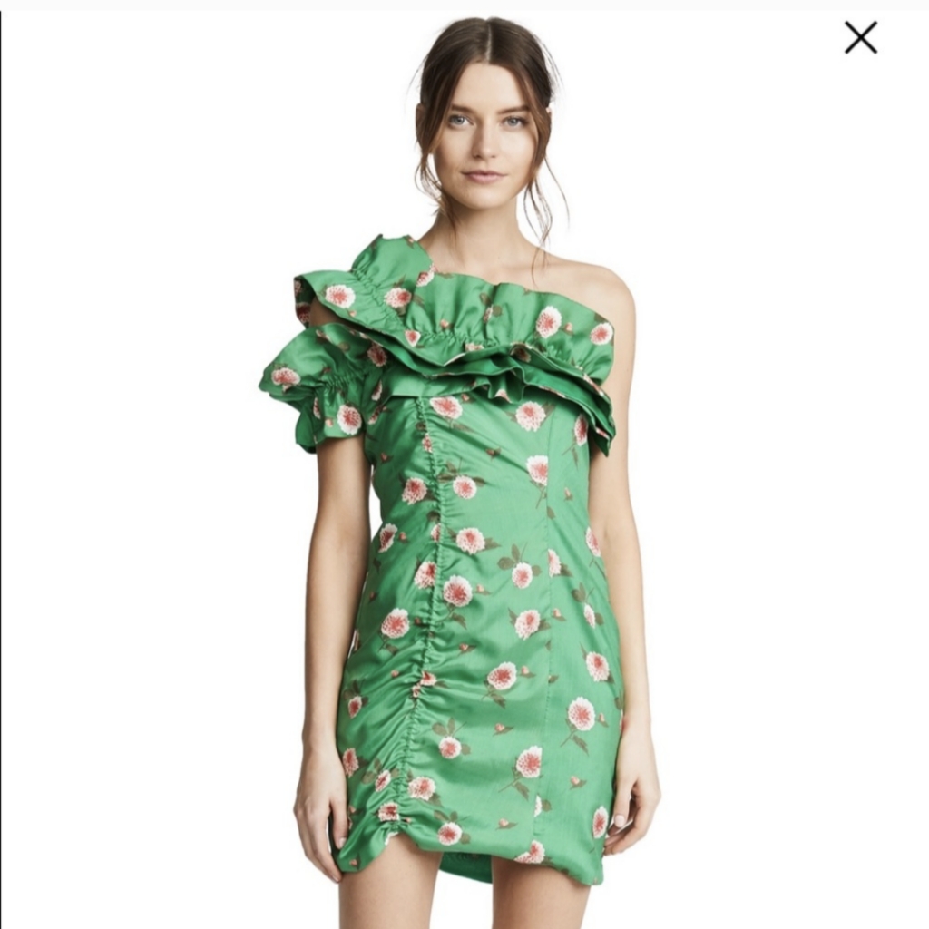 Viva Aviva Sonata Green Dahlia Print Silk Dress